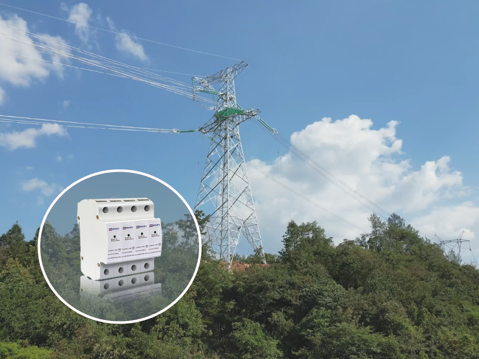 DK-100/4P避雷器.png