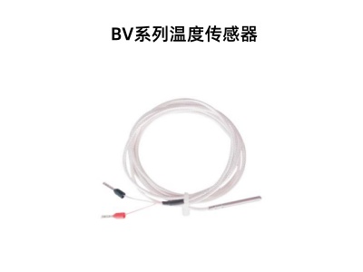 BV系列溫度傳感器.jpg